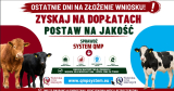 Obrazek dla news_1483